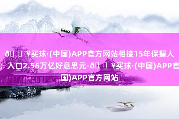 🔥买球·(中国)APP官方网站相接15年保握人人第一；入口2.56万亿好意思元-🔥买球·(中国)APP官方网站