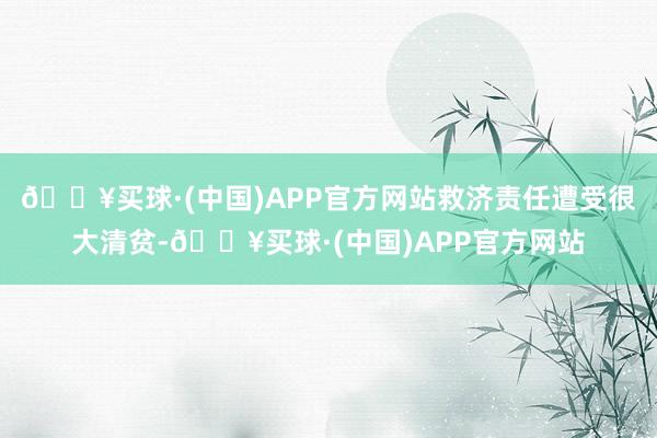 🔥买球·(中国)APP官方网站救济责任遭受很大清贫-🔥买球·(中国)APP官方网站