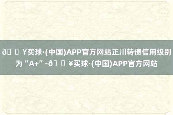 🔥买球·(中国)APP官方网站正川转债信用级别为“A+”-🔥买球·(中国)APP官方网站