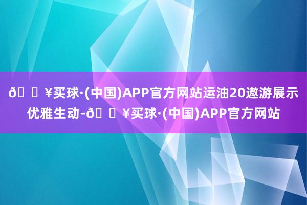 🔥买球·(中国)APP官方网站运油20遨游展示优雅生动-🔥买球·(中国)APP官方网站