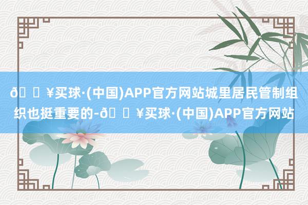 🔥买球·(中国)APP官方网站城里居民管制组织也挺重要的-🔥买球·(中国)APP官方网站