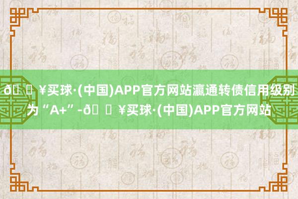 🔥买球·(中国)APP官方网站瀛通转债信用级别为“A+”-🔥买球·(中国)APP官方网站