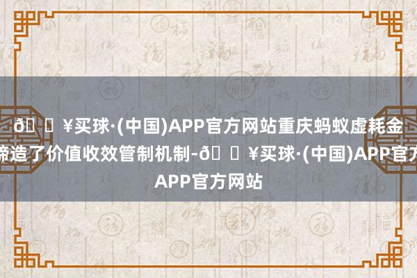 🔥买球·(中国)APP官方网站重庆蚂蚁虚耗金融还缔造了价值收效管制机制-🔥买球·(中国)APP官方网站