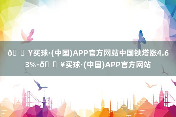 🔥买球·(中国)APP官方网站中国铁塔涨4.63%-🔥买球·(中国)APP官方网站