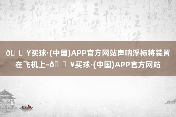 🔥买球·(中国)APP官方网站声呐浮标将装置在飞机上-🔥买球·(中国)APP官方网站