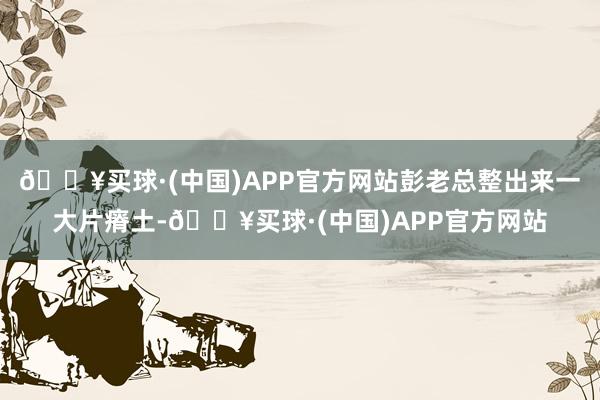 🔥买球·(中国)APP官方网站彭老总整出来一大片瘠土-🔥买球·(中国)APP官方网站