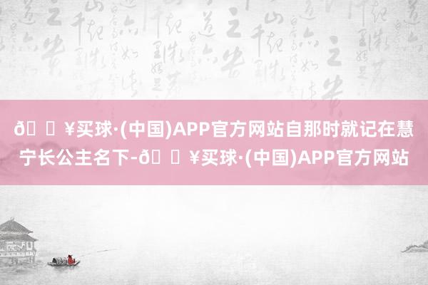 🔥买球·(中国)APP官方网站自那时就记在慧宁长公主名下-🔥买球·(中国)APP官方网站